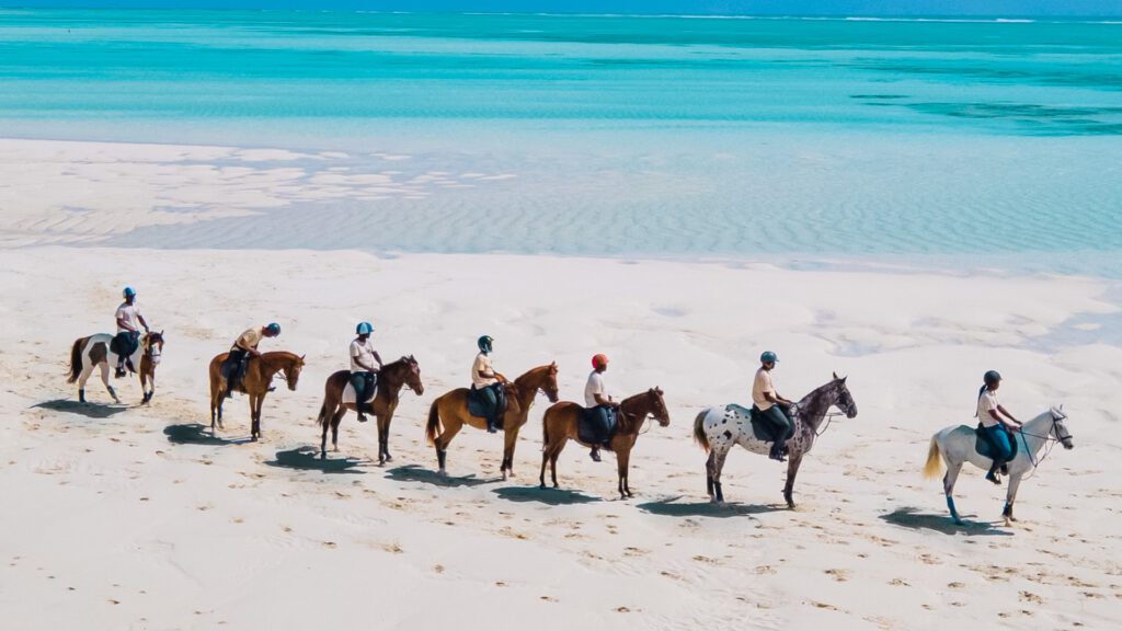 Horseback Riding Zanzibar