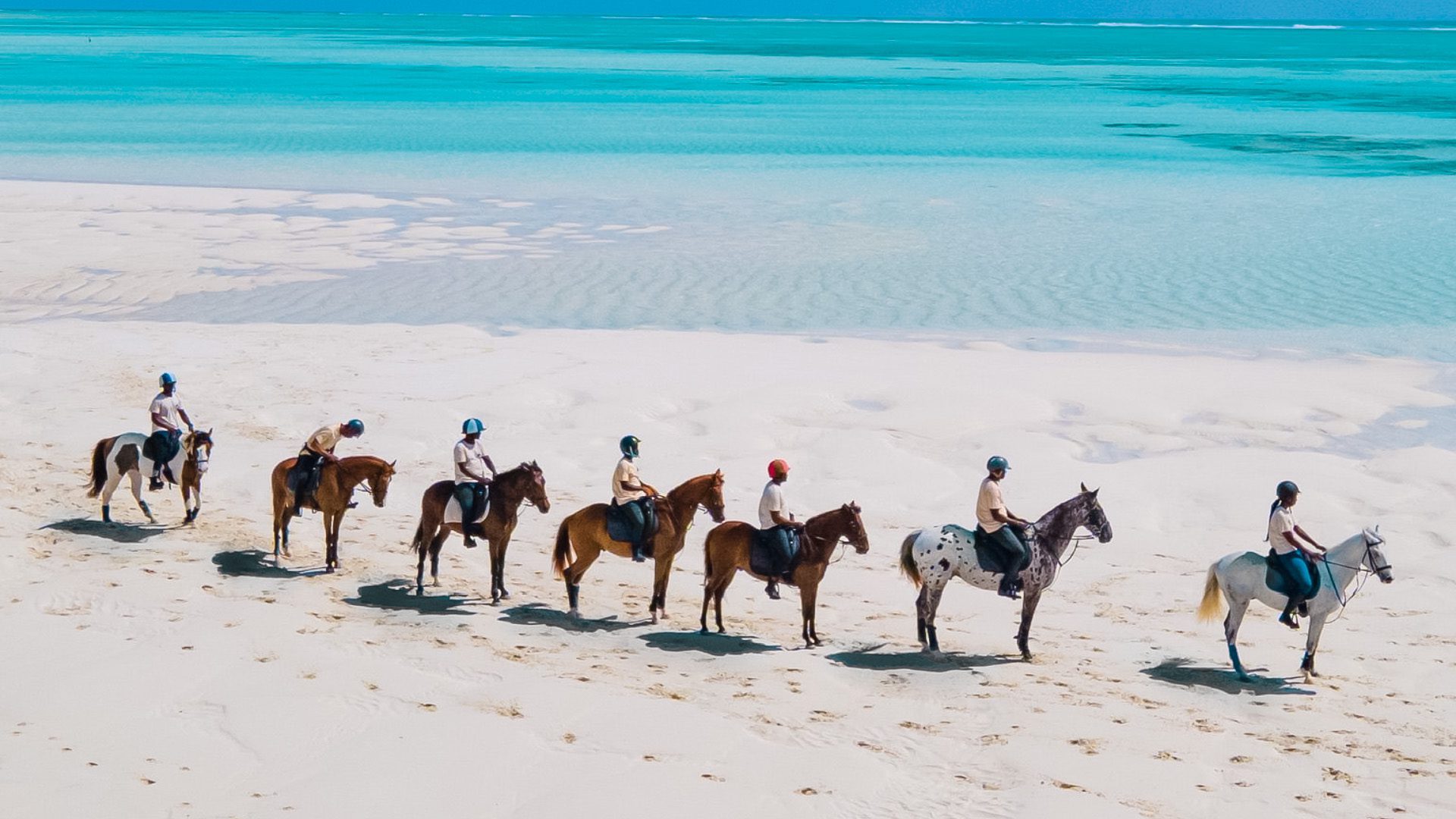 Horseback Riding Zanzibar