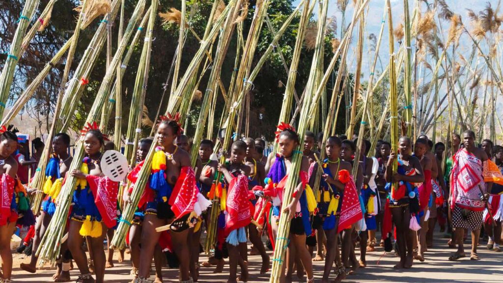 Reed Dance