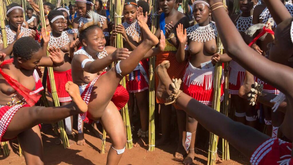 Reed Dance 2