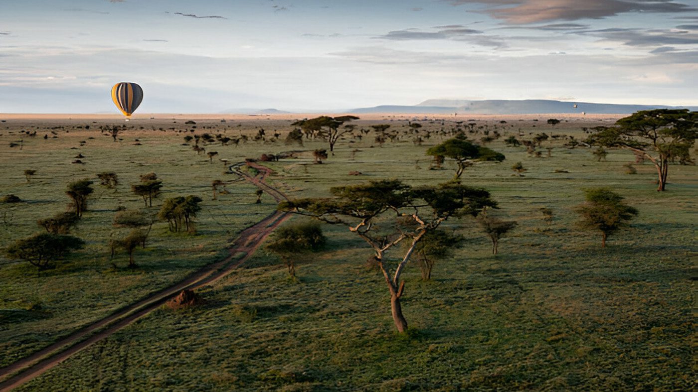 serengeti safari