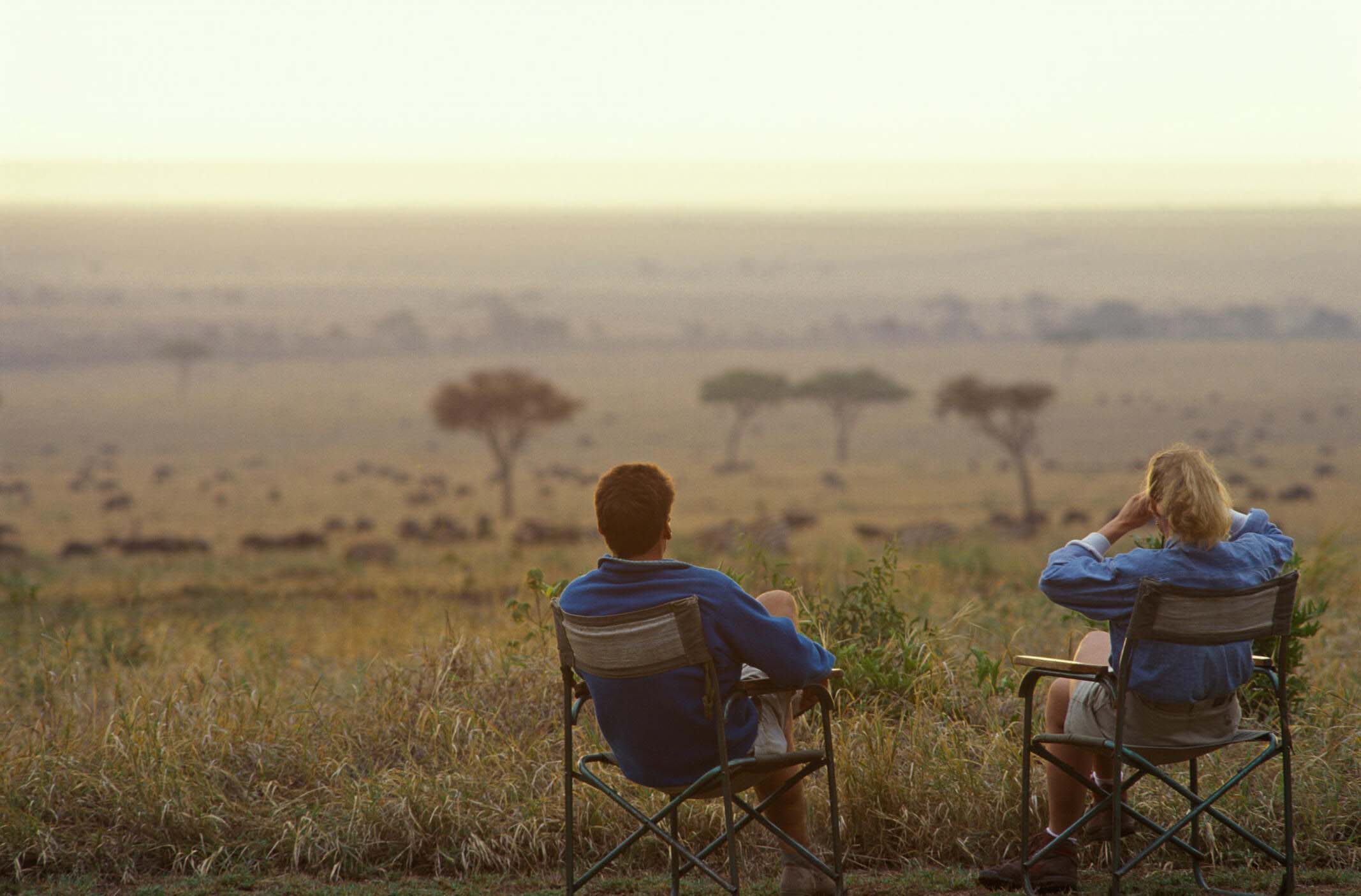 basking in the savannah on a safari in tanzania