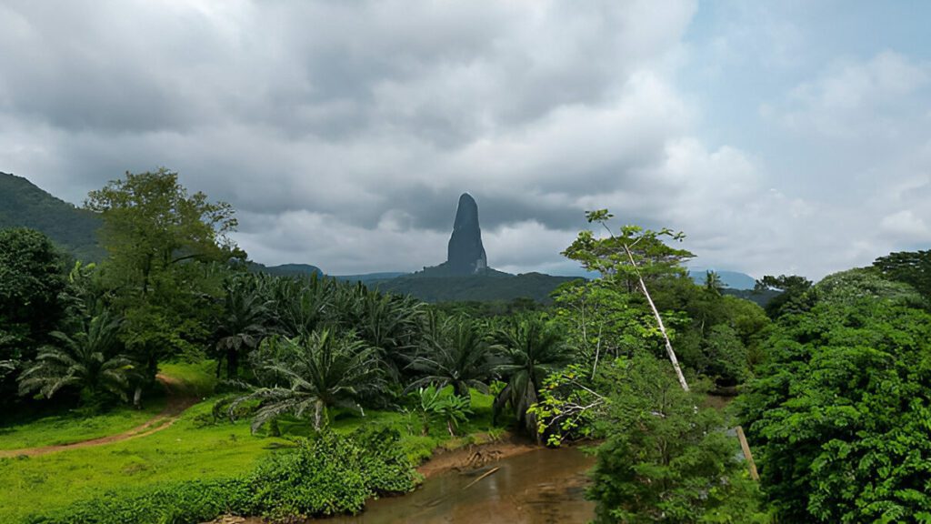 Sao Tome and Principe -Rainforest