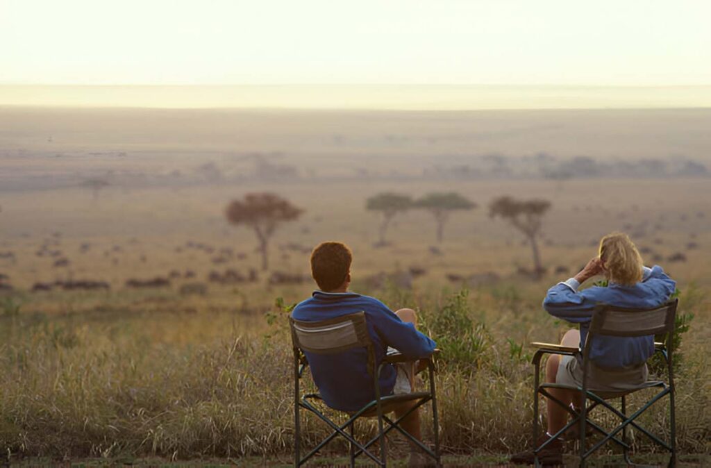 The Safari Connectivity Revolution: How Perfect Internet Ended Africa's Digital Detox 2 digital detox in safari
